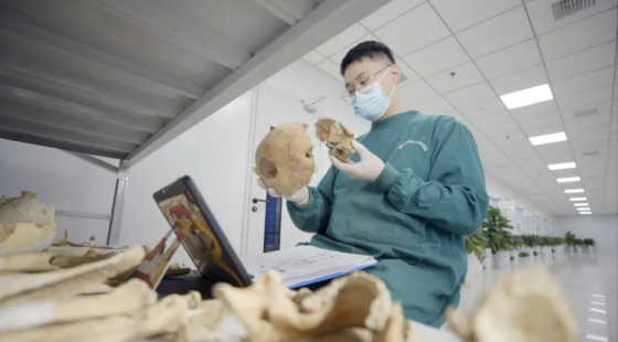 《考古学家的神秘武器》入选央视寒假推荐片单