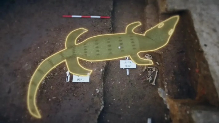 薛城遗址惊现龙形堆塑