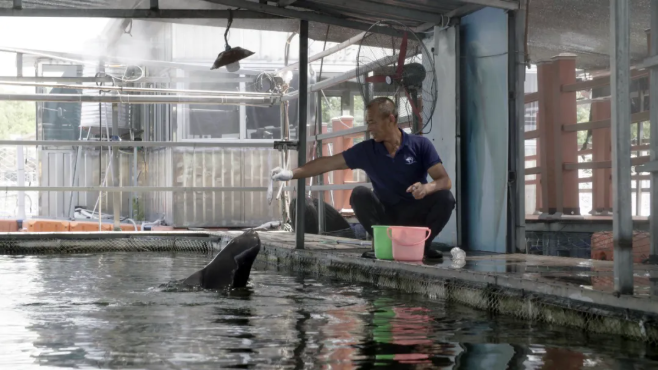 丁泽良：从渔民到江豚守望者