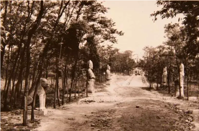 元青花珍品如何重现人间？